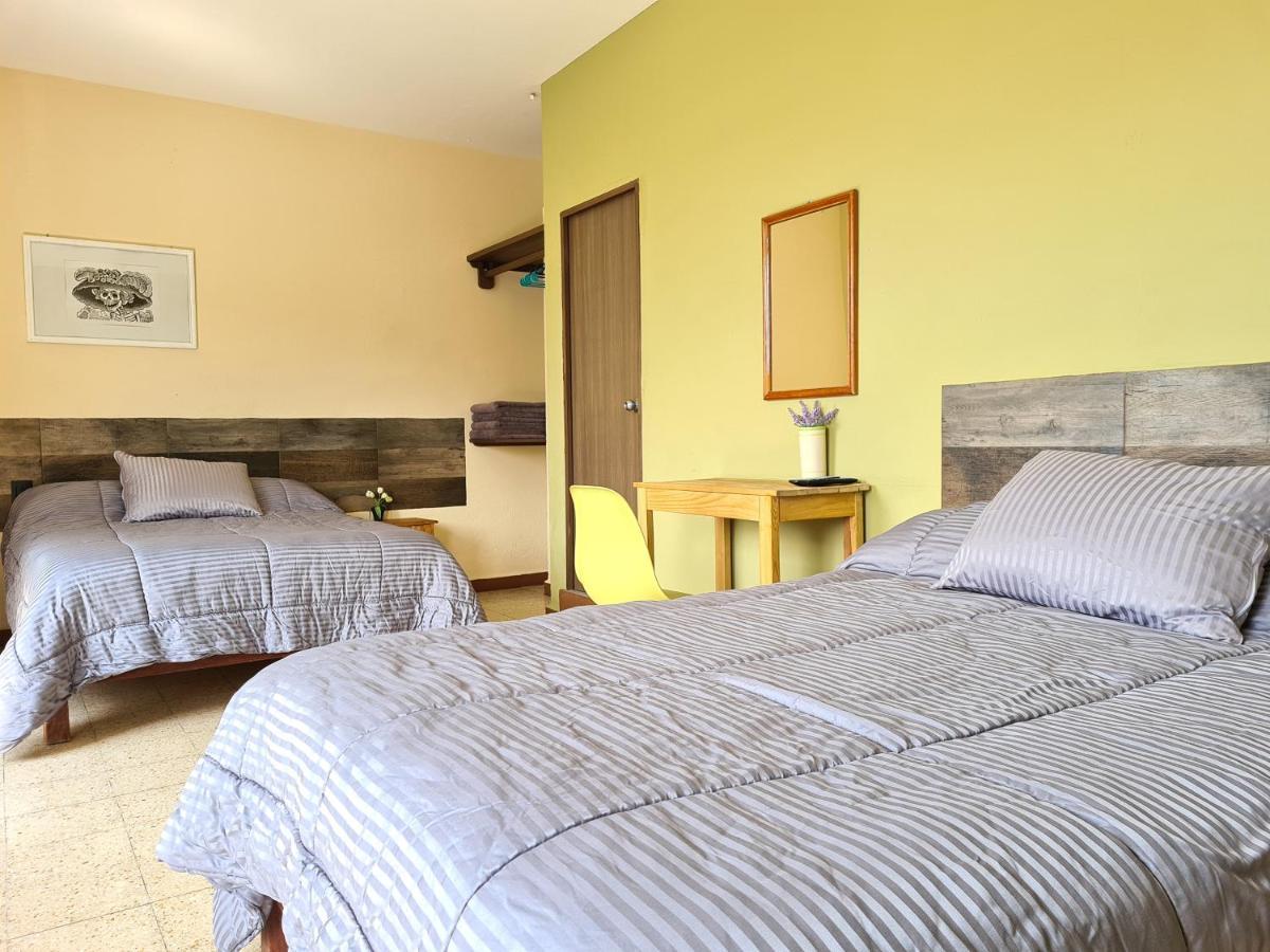 Hotel H. Galaxia à Oaxaca Extérieur photo